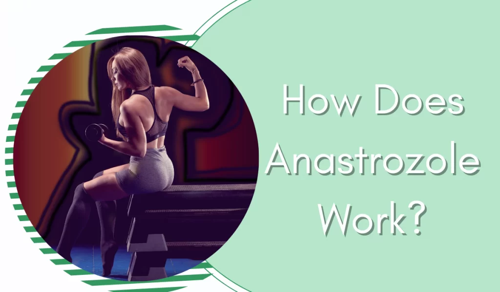 How Does Anastrozole Work
