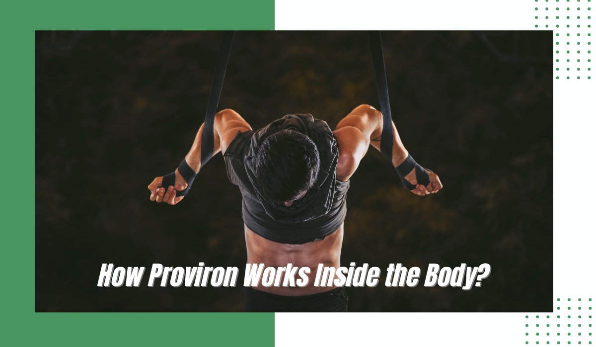 Proviron is a synthetic steroid